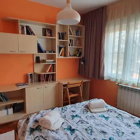 Feel In A Cozy 2-bedroom Apart *